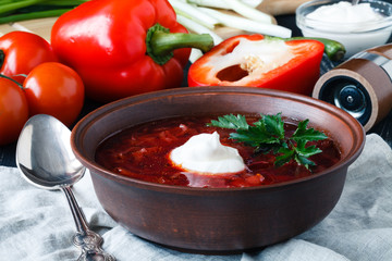 Traditional red soup borscht with meat