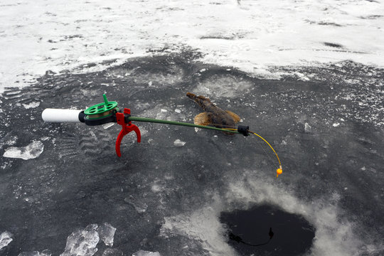 Fishing rod and one fish on ice