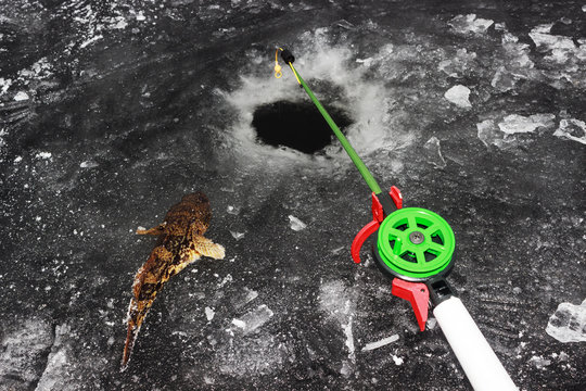  fishing rod and fish on ice