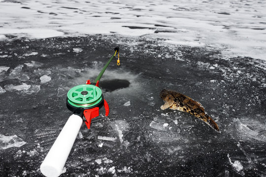  Winter fishing, fishing rod and fish on ice