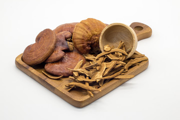 Lingzhi Mushroom