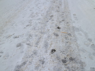 traces of people in the snow