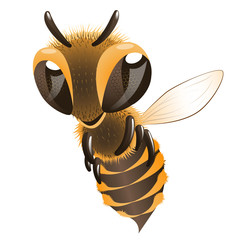Happy bee. Cartoon character fling bee.