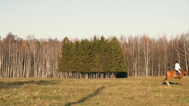 катание на лошади