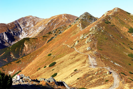 รูปภาพKrzesanica เลือกดูภาพถ่ายสต็อก เวกเตอร์ และวิดีโอ145 Adobe Stock