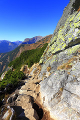 Poland, Tatra Mountains, Zakopane - Goryczkowa Czuba, Starobocianski Wierch, Spalona peaks and Tomanowa Pass with Western Tatra in background