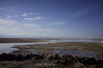Fototapeta na wymiar Salar de Atacama Scenery