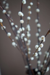Ostern © SchwarzfischerMiriam
