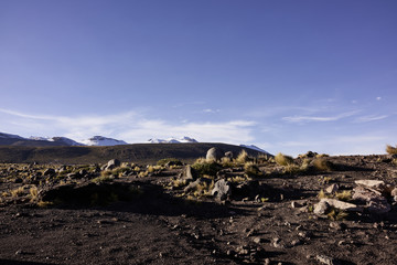 Geyser Field Landscape and the Andes Mountain Range