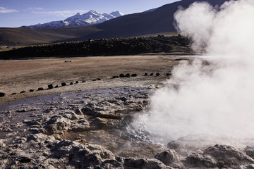 Geyser Field Terrain and the Andes Mountains