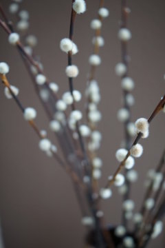 Ostern