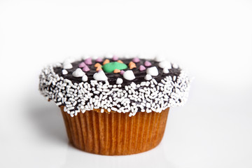 female make up model portrait