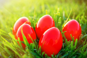 Fototapeta na wymiar Easter eggs in grass.
