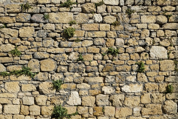 Old rubble stone wall with vegetation growing on it