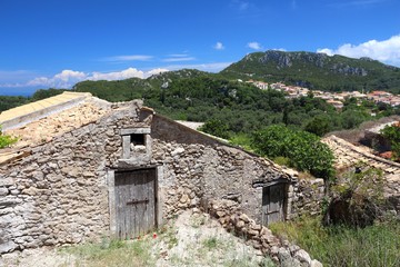 Fototapeta na wymiar Corfu rural landscape