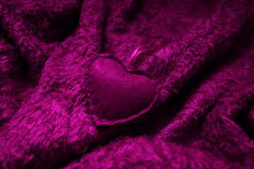 valenine violet heart on the fluffy blanket