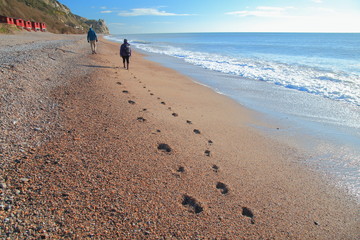 Footprints on the pebble beach in Branscombe, Devon