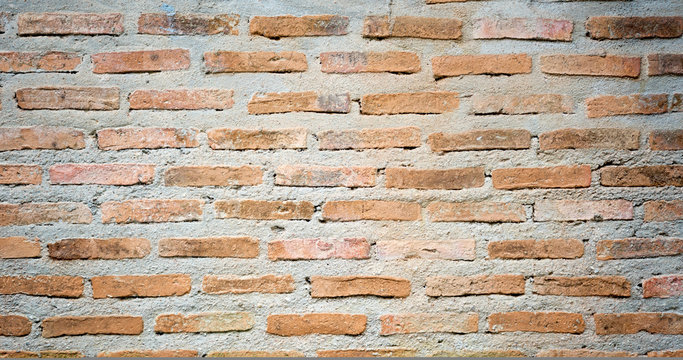 Fototapeta Brick wall