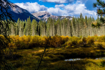 Fototapeta na wymiar From the Bow Valley Parkway, Banff National Park, Alberta, Canada