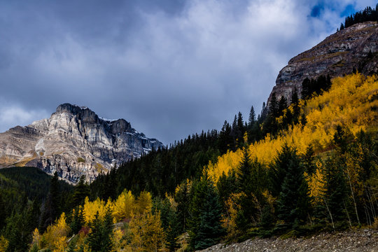 From the Bow Valley Parkway, Banff National Park, Alberta, Canada