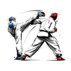 taekwondo action 4 - obrazy, fototapety, plakaty