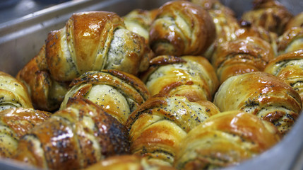Croissants from oven on metallic rack.