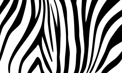 Fototapeta na wymiar Zebra. Decorative background for design
