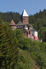 Burg Zwingenberg am Neckar