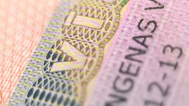 Passport of the traveler. Business visa. European Union. Visa control. Hologram and watermarks are a counterfeit protection.