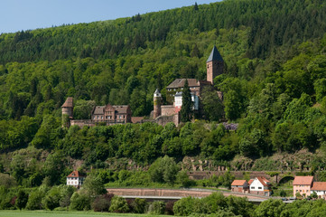 Burg Zwingenberg am Neckar