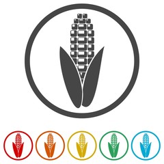 Corn icon, Corn icons and symbols, 6 Colors Included
