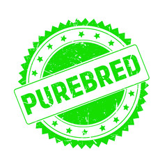 Purebred green grunge stamp isolated