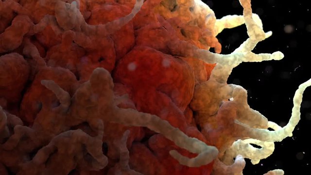 3D Rendering scanning electron microscope image of a white blood cell.