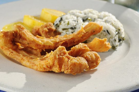 Tambaqui's rib whit rice and Jambu anda Potatos