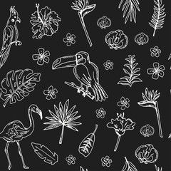 Hand drawn doodle tropics seamless pattern © fafarumba