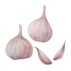 head and cloves of garlic