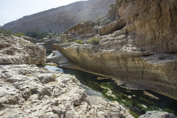 Rocks in green Water in Wadi Bani Khalid