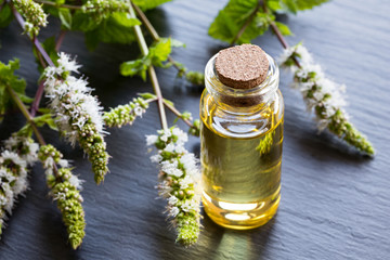 A bottle of peppermint essential oil with blooming peppermint twigs