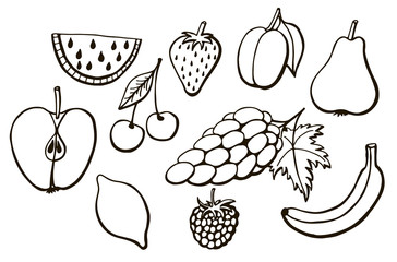 set of black and white painted vector fruits