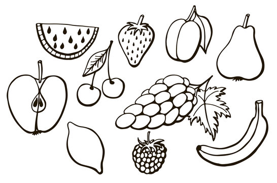 set of black and white painted vector fruits