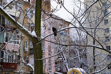 without special residence