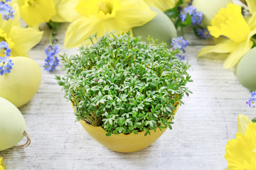 Easter table rustic decorations with cuckoo flower, hay and forget me not.