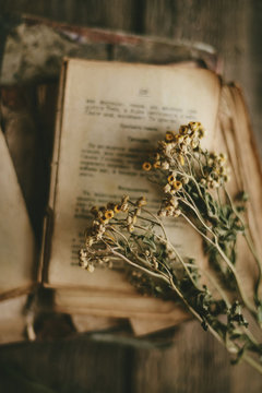 High angle view of flowers with torn book on table