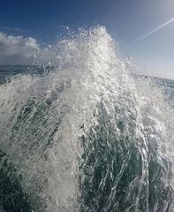 1 punta cana, república dominicana 