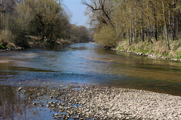 Junge Donau