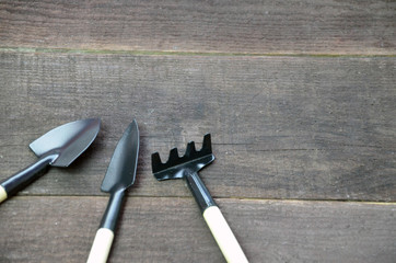 Garden tools top view seedlings for planting on old wooden board rustic style. Copyspace.