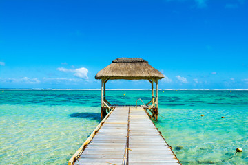 Beautiful tropical sunny landscape