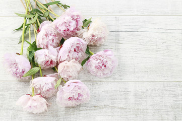 Big bouquet of pink peonies on white wooden background