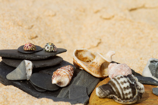 Beach theme of stones and seashells
