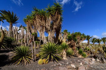 Cactualdea Park, Gran Canaria